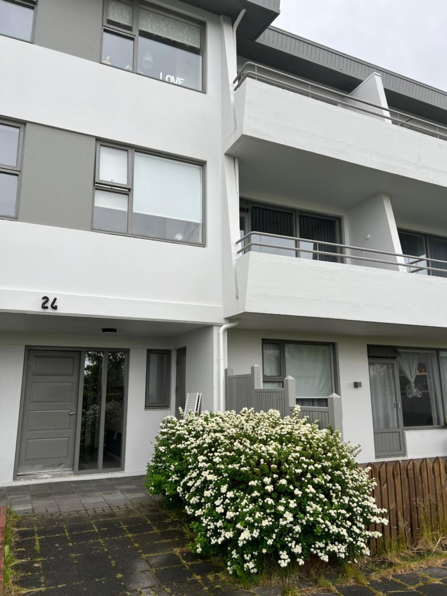 Viggsson Apartment ريكيافيك المظهر الخارجي الصورة