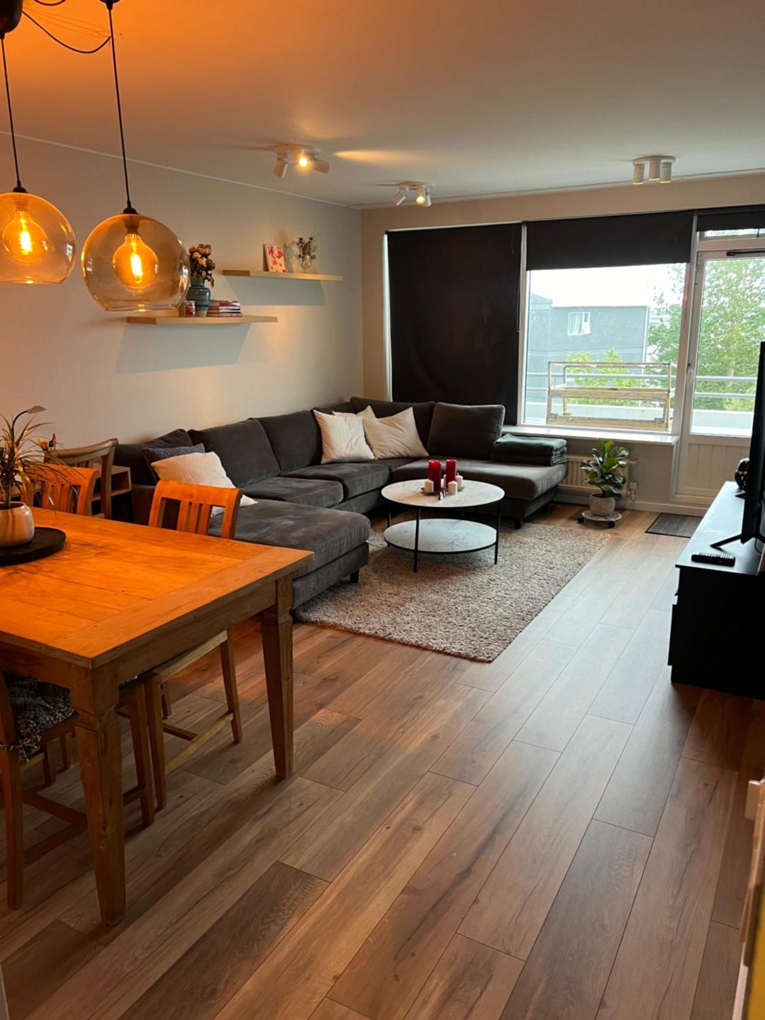 Viggsson Apartment ريكيافيك المظهر الخارجي الصورة